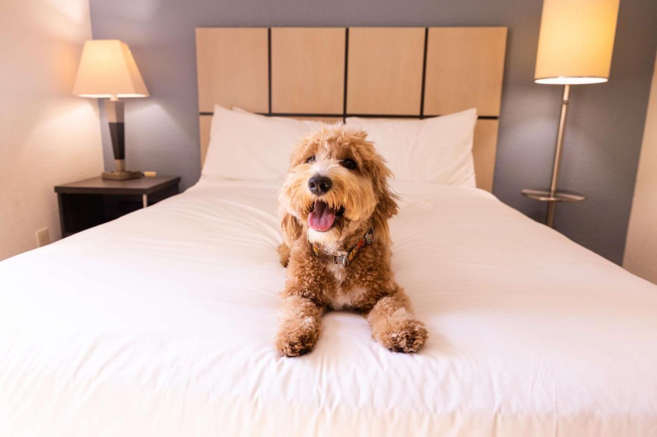 Sonesta Simply Suites Anaheim غاردين غروفي، أورانج، كاليفورنيا المظهر الخارجي الصورة